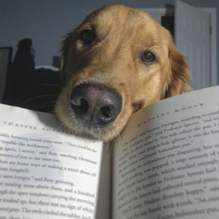 160a16573dbde27a676c78eacc