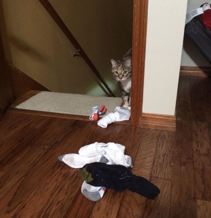 160f855bc2b20a19133718eed6