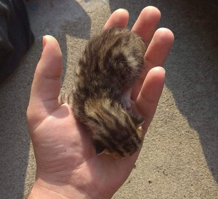 1610485d5fa759b1f1ea78520a