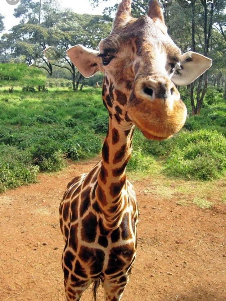 1615de514cae020775e8f121aa