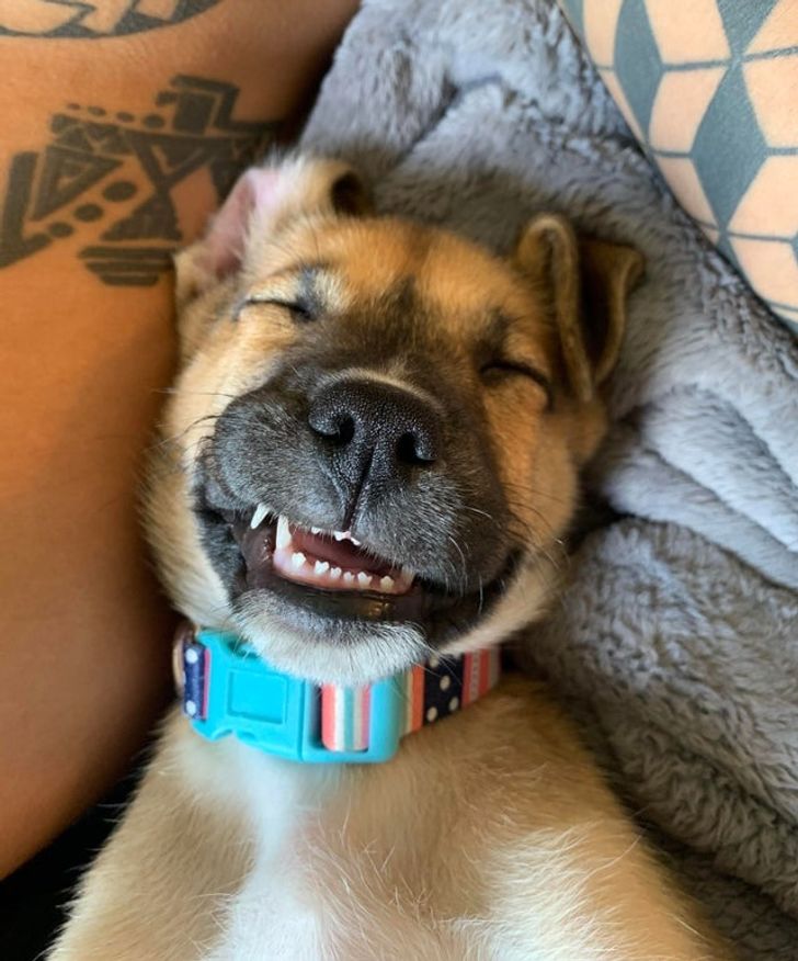 161b6857858645e9d0573d99fd