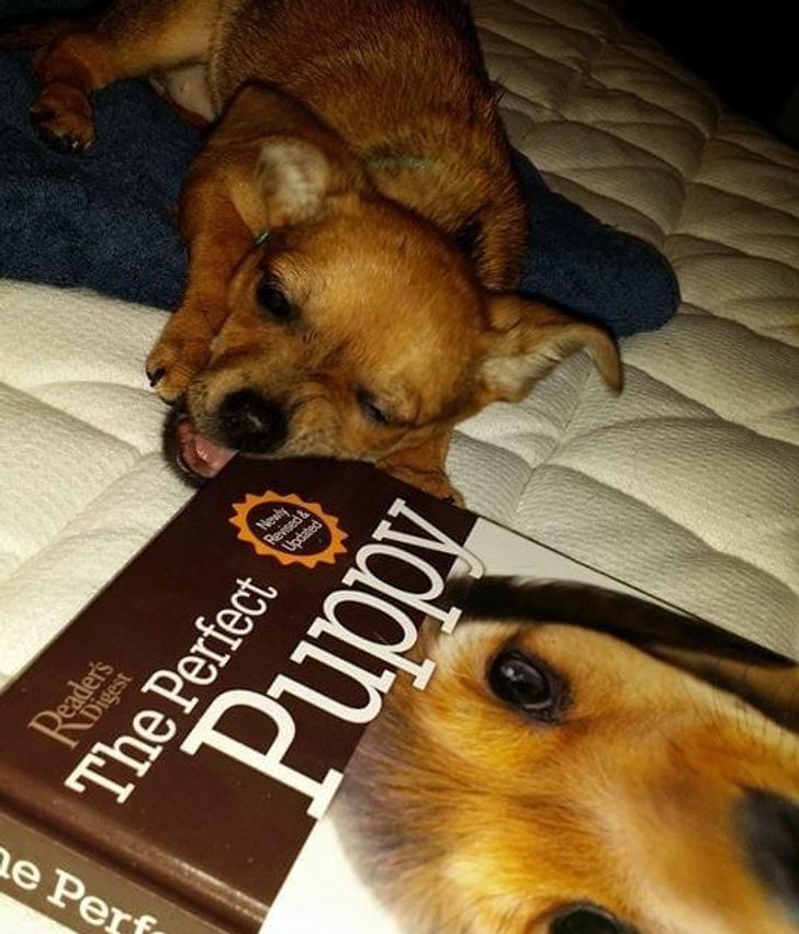 161cc7560d9f9650ae851d6081