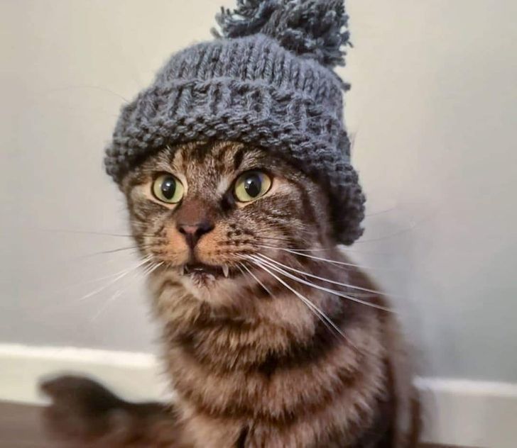 161f235d99b107226b733549ef