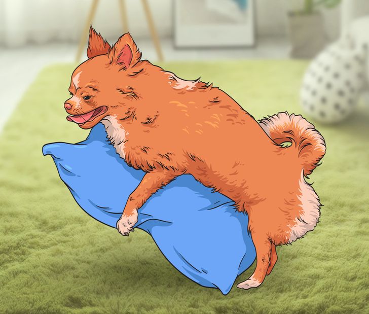 161f385503865d8d2871f15ee7 161f385503865d8d2871f15ee7