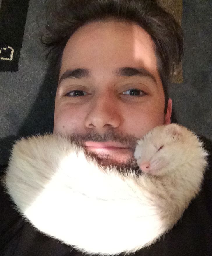 161fbc53c9b00e3dff4306cbe0