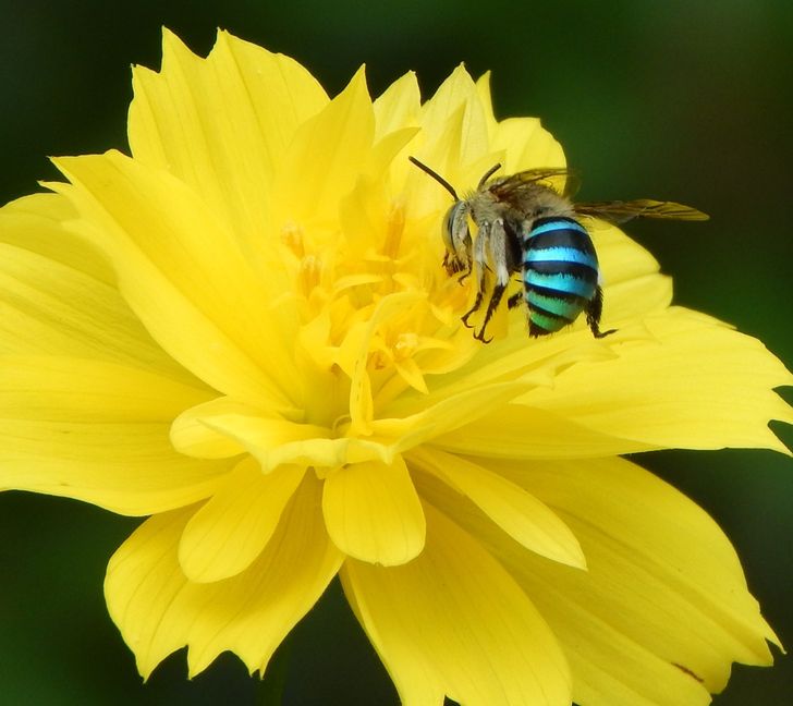 161ff4547bad50a73c13a8d960