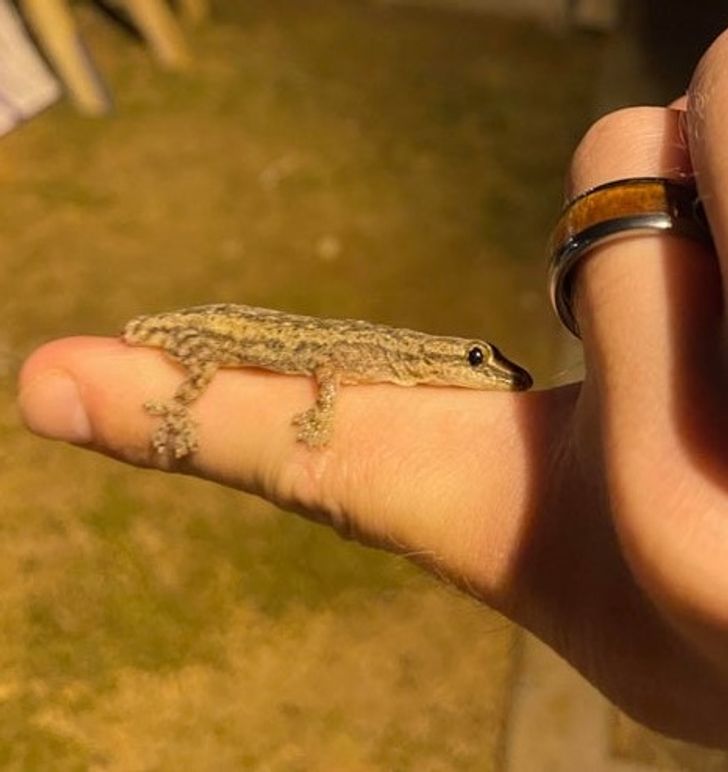 1620dc59b584df9a7e08276bb5