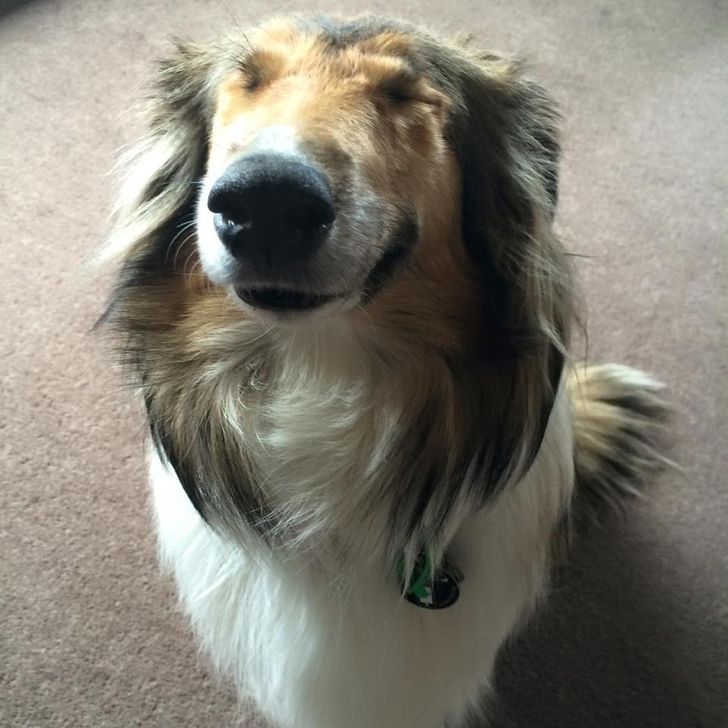 1622085e77897d309283de798a