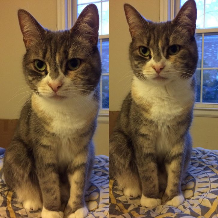 16267d5acf948433a071d96400