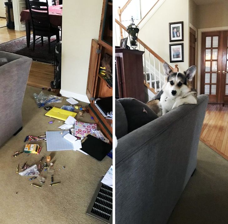 1629a15dfda55875c7194bf8cf