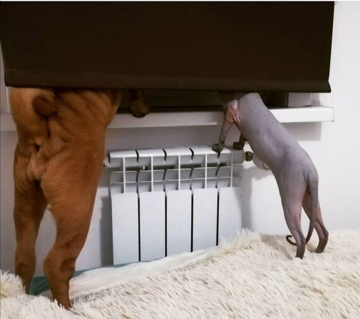 162c0059028aabdd6962f93066