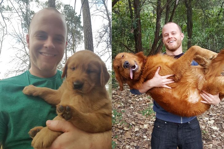 163789551099cf353766741120