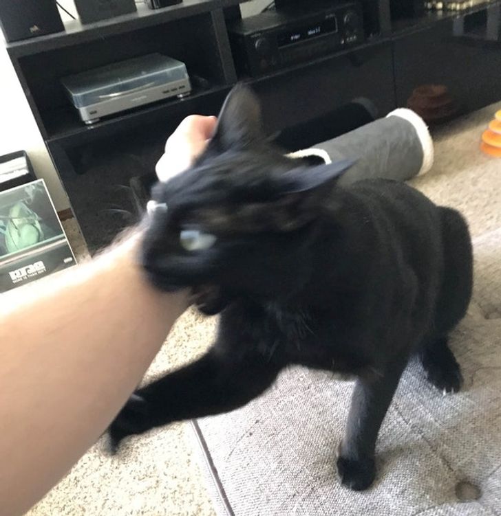 16383751fdb3a4cdc0e5a66403