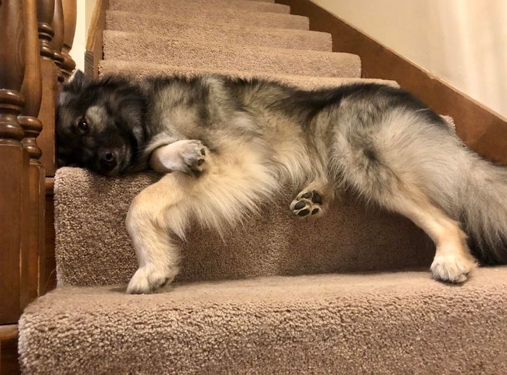 163ec753b8941260df8d501f94