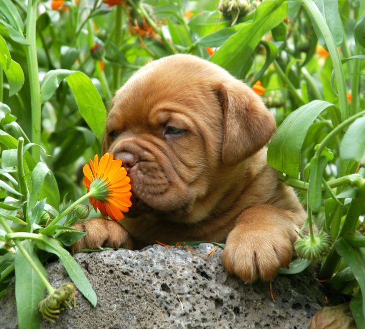 163f52569684b8f8493765cfd9