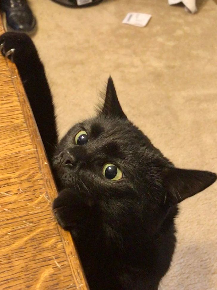 1643975caebca6d4f0e2196fa4