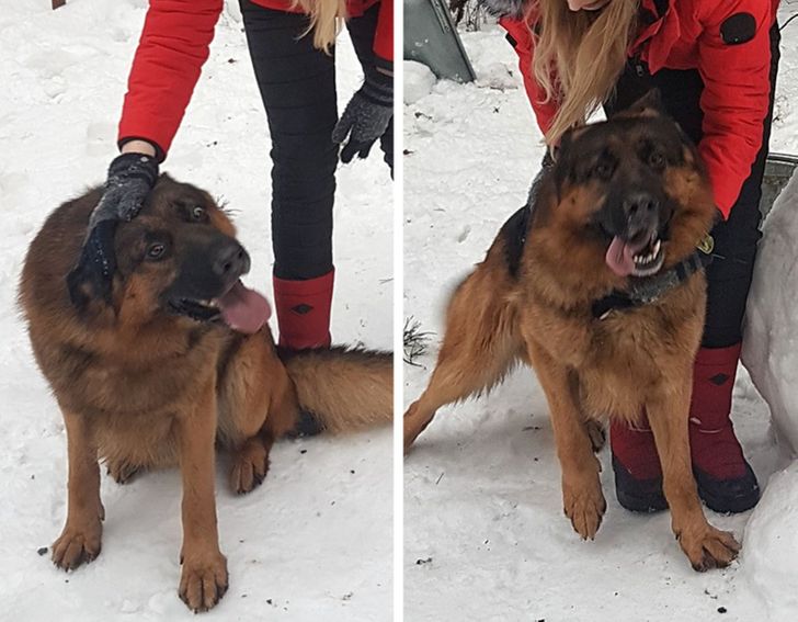 164948559591b7c573c3343885