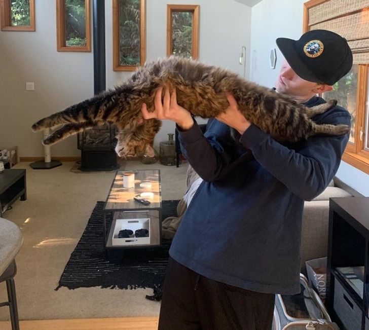 164b5d5e9a84e0fc5ed4df4522