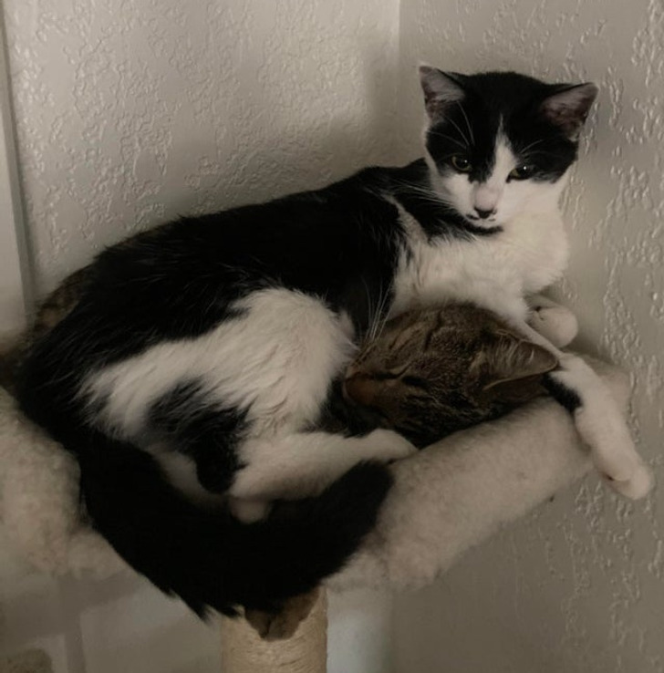 1655bd53ae9bd8e1d4ec854f62 1655bd53ae9bd8e1d4ec854f62