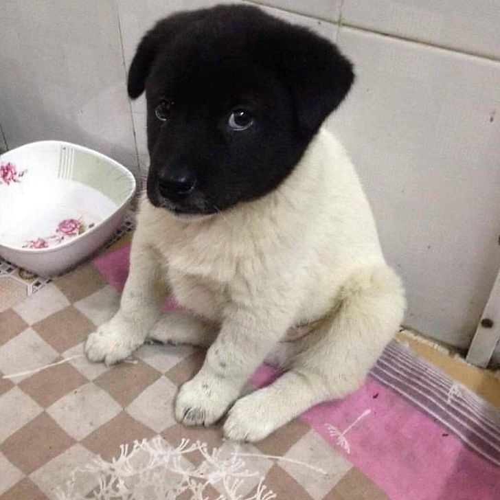 16578b5a528f34a35eb1046274