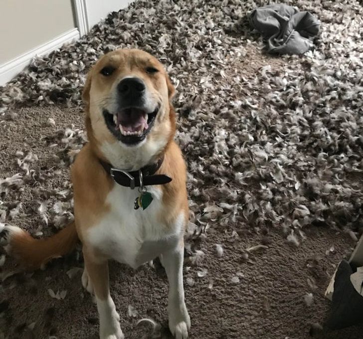 166c0f5e66939ea5dc39c5aacc