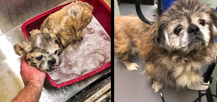 166c2351b0b7088e28a96f9de3