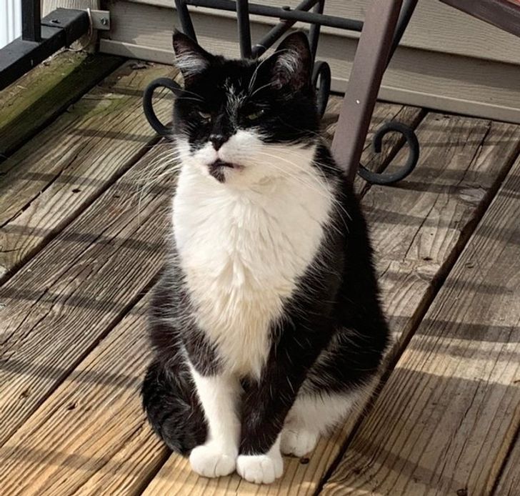 167c145005aa8c4fac4d25a267