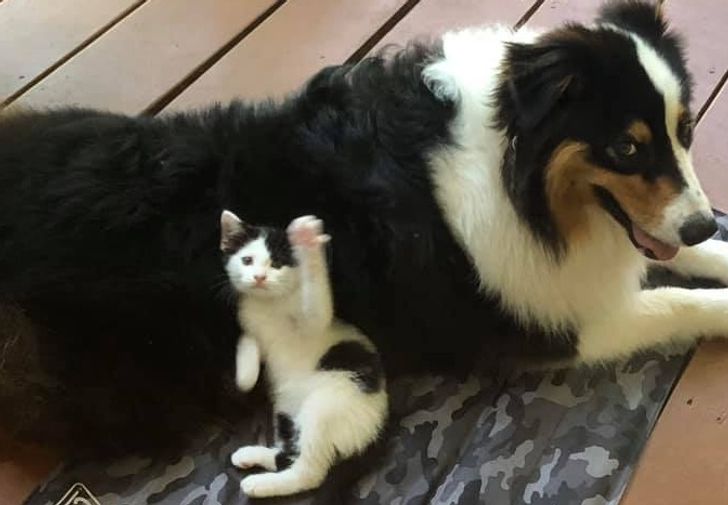 16829f5327a880a4d08a241a79