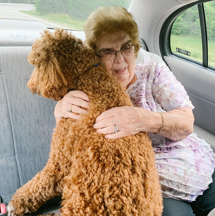 16869a59dcac88ea82e6c7918b 16869a59dcac88ea82e6c7918b