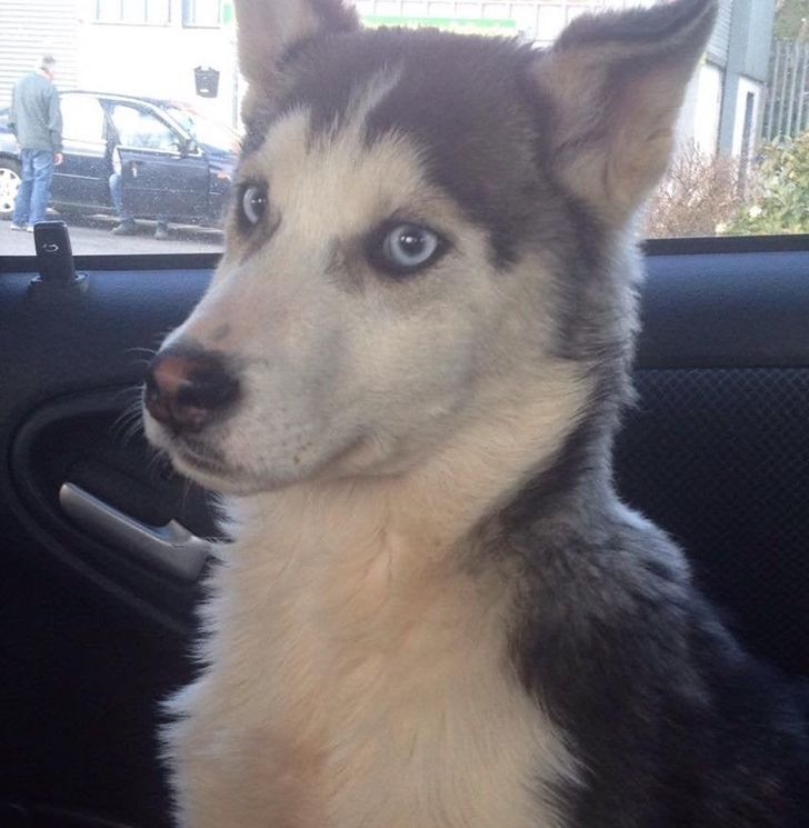 1690b25d1780224fd3e790d834