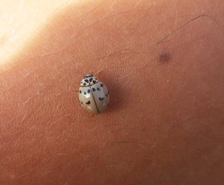 1692635fb896e204294427b679