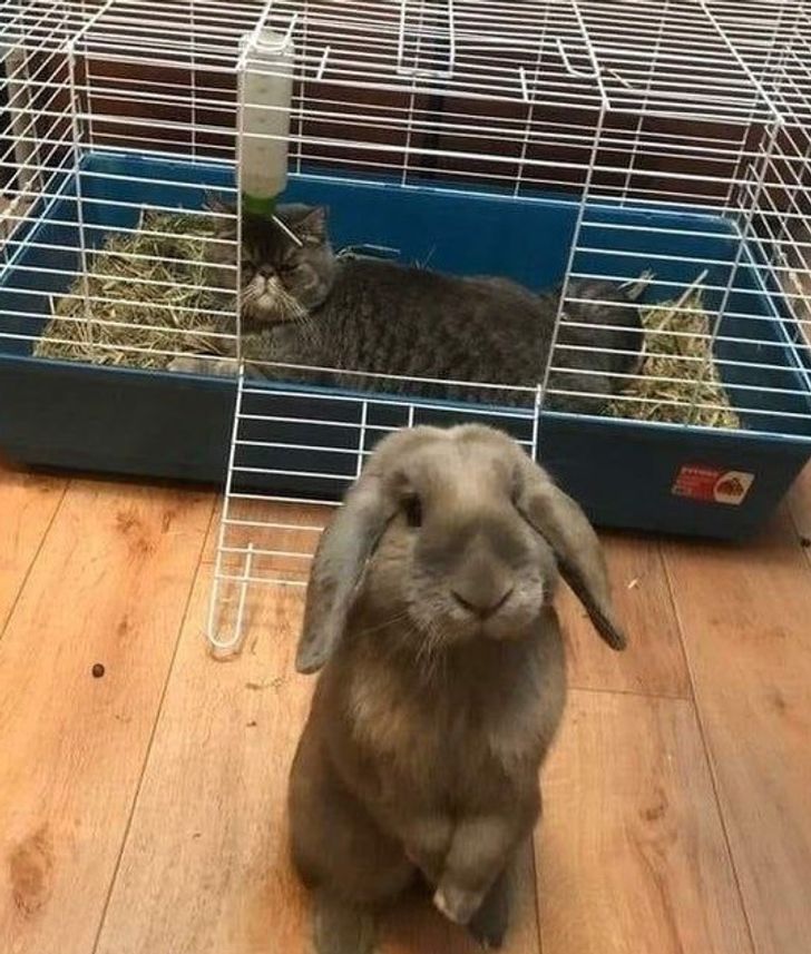 1697885e1fa722241e68f5d31f