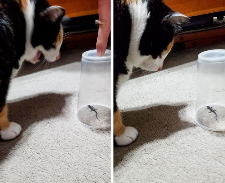 169f8a5b70801f0b17055a241f