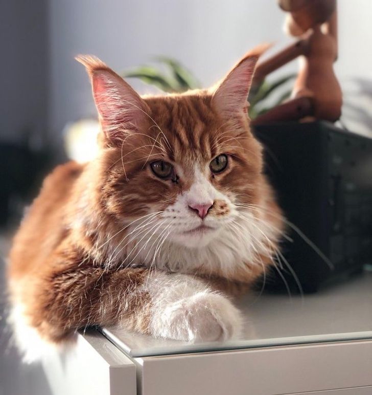 16a04653ada6e828d00765864f