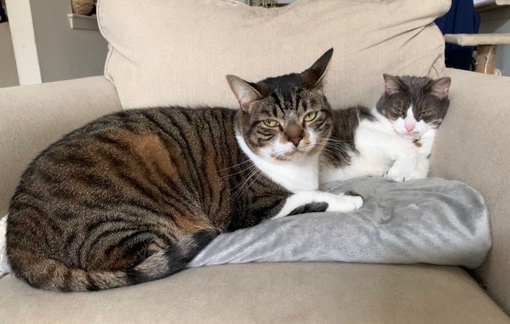 16a2d7594588316a75f488b1c1