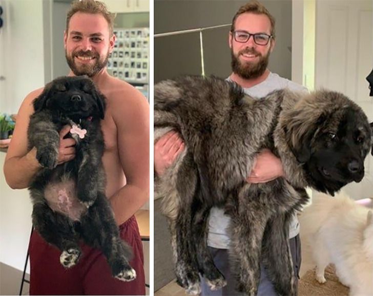 16a3bc550a862a5c44b18505d5