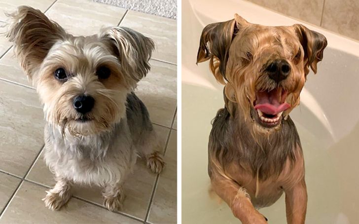 16aa3253c386edf3de05c37751