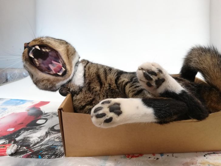 16b9305269b970c478677a7890