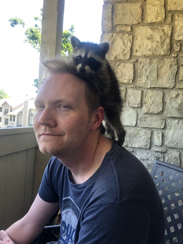 16b97c548f9bb0b7613df388f8