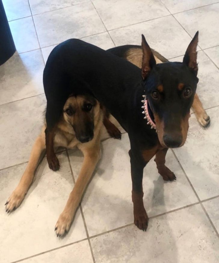 16babc5e9fb91efca2d0f11a96