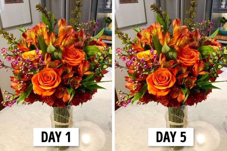 16bad45c109f2e85d1e0db9621