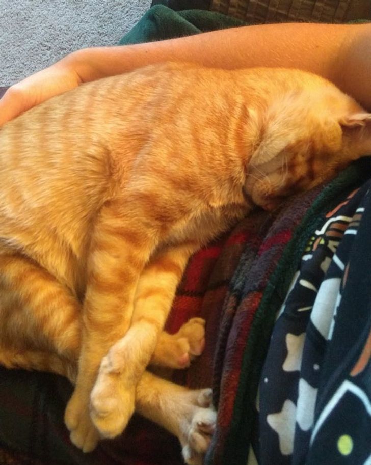 16c3695958a2677049a6184837