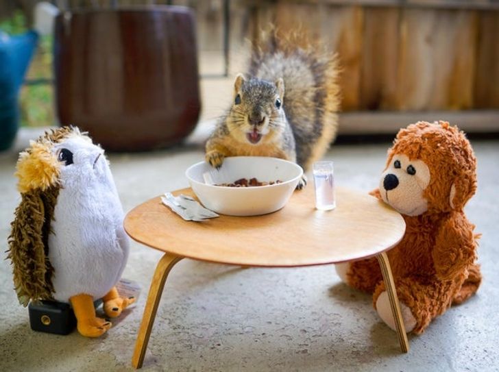 16c5aa57f8978b8a5496027358