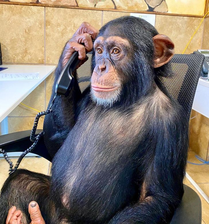 16d05752ef943b2b6d43be2b96