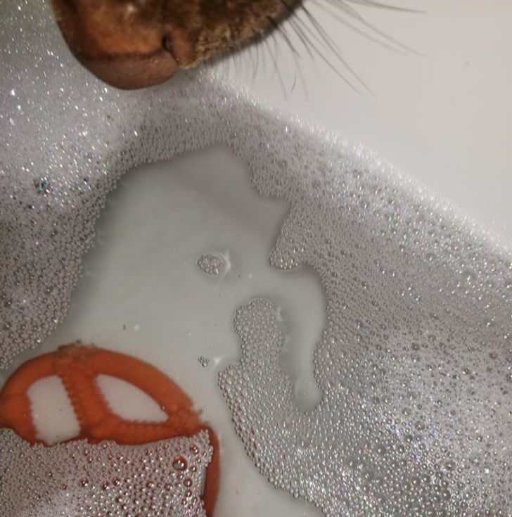 16db6c582f9af2df3dcff40bce