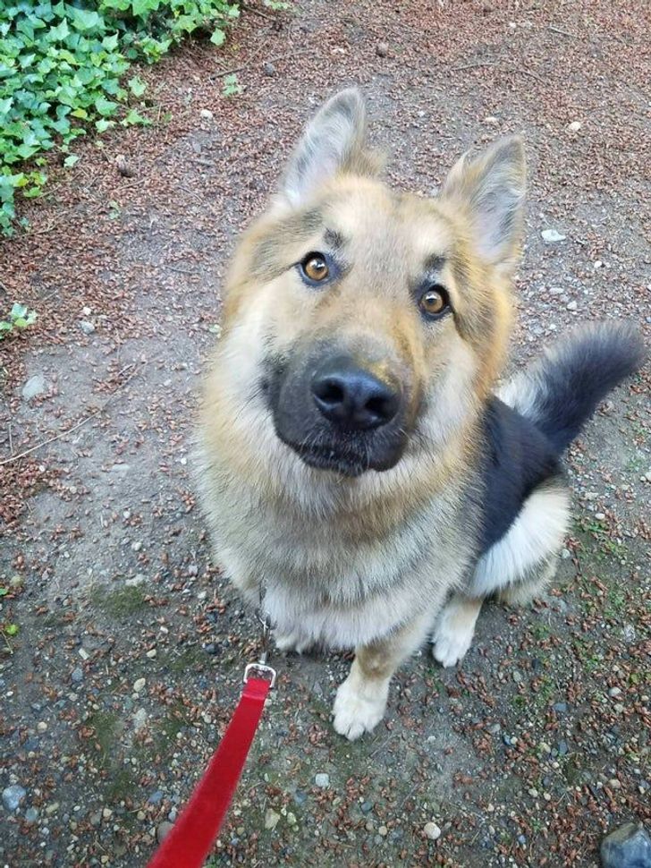 16e5de53049805cc3d0141bc5e