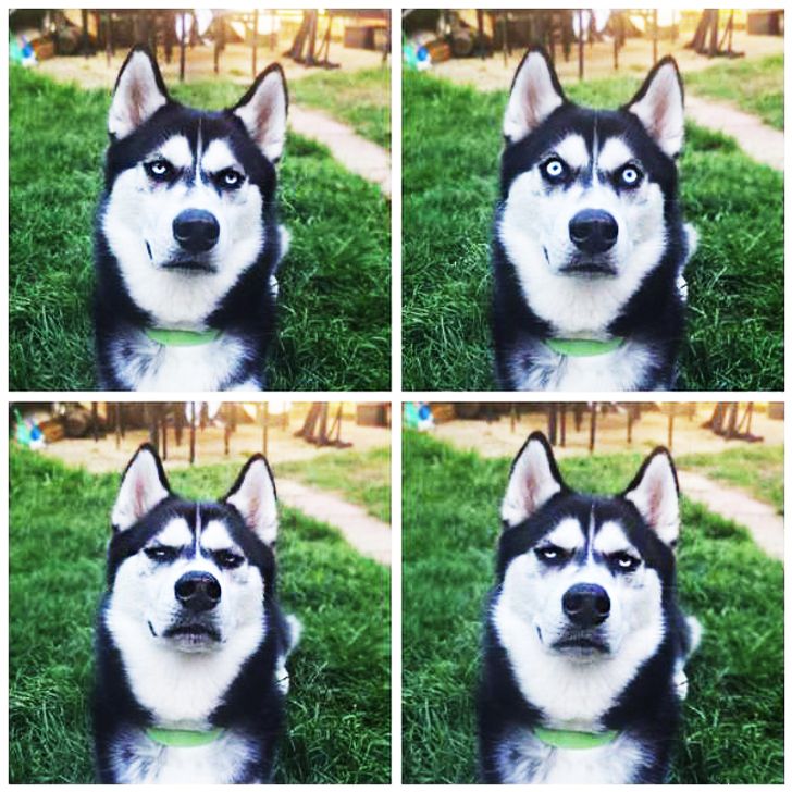 16ea9651dc8ece5a2612d8724f