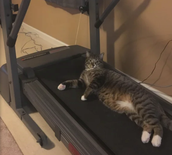 16f3165705b391eaff85d82df4