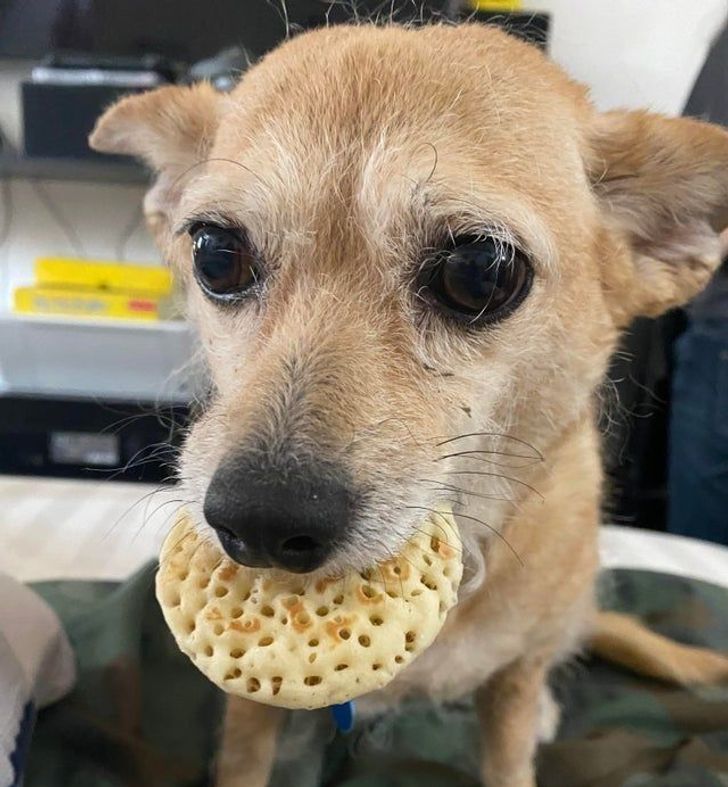 16f35855ad95a948730126a854