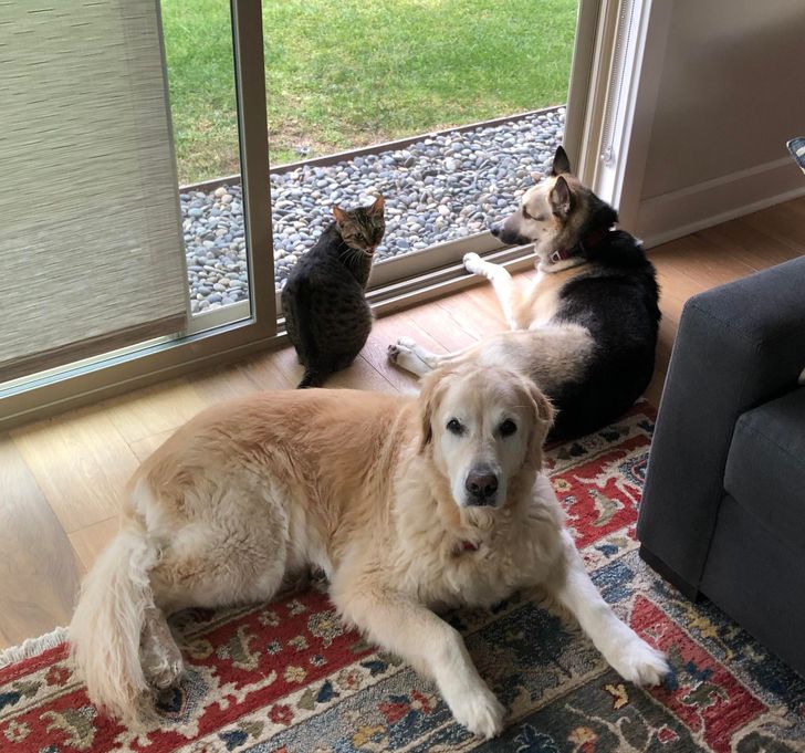 16fbae506eb97047327b335c51